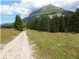 Passo di Costalunga / Karerpass - Cima Latemar / Latemarspitze